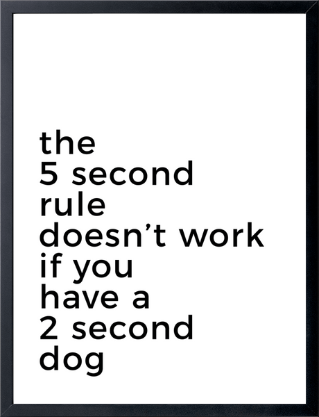 the 5 second rule doesn't work if you have a 2 second dog