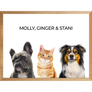 Your Pet Portrait - Customer's Product with price 209.95 ID M3Y4KPeFrmCiT_jlWRrh1aPv