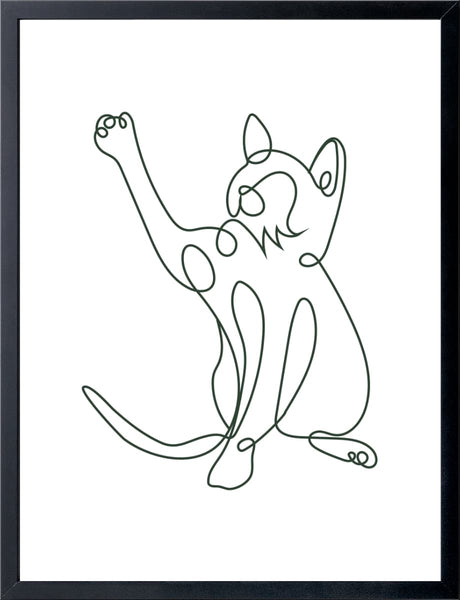 Cat Doodle
