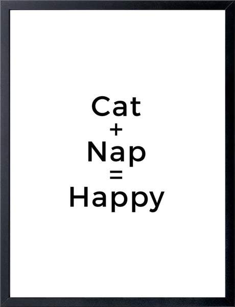 Cat + Nap = Happy