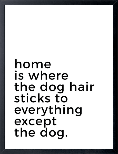 home is where the dog hair sticks to everything except the dog.