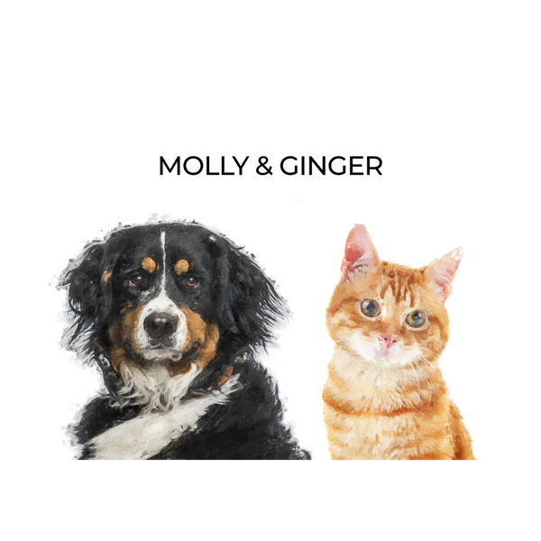 Your Pet Portrait - Customer's Product with price 154.95 ID bQIYGbKGAthoOouCLso1qdQw