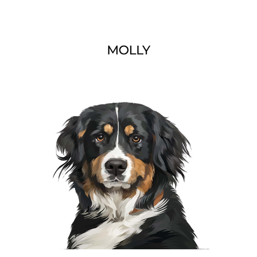 Your Pet Portrait - Customer's Product with price 74.95 ID u1J5TjSiabdW50CSMEDIEcwV