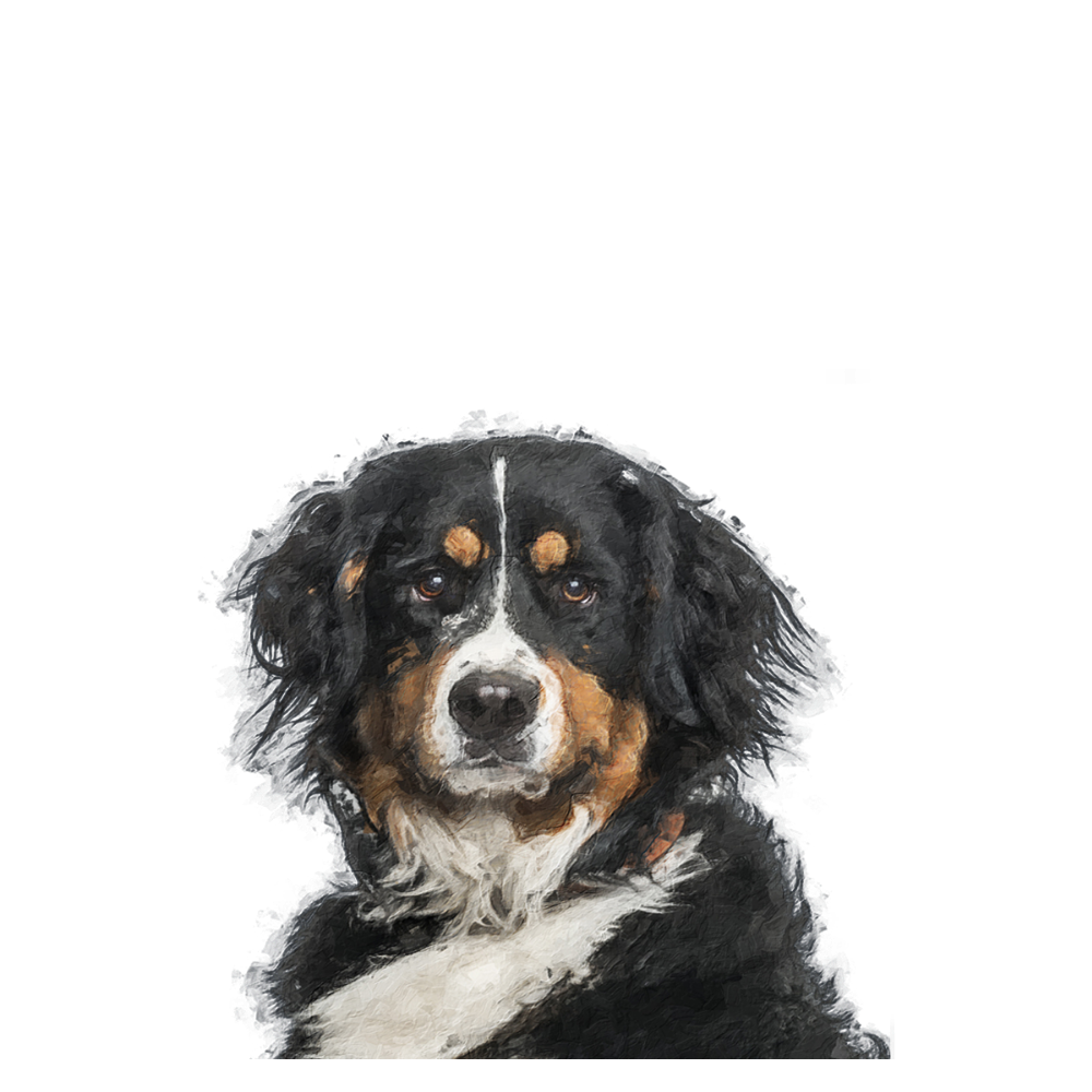 Your Pet Portrait - Customer's Product with price 68.00 ID Fw4zRX3DByjl3jCLso-wE_6c