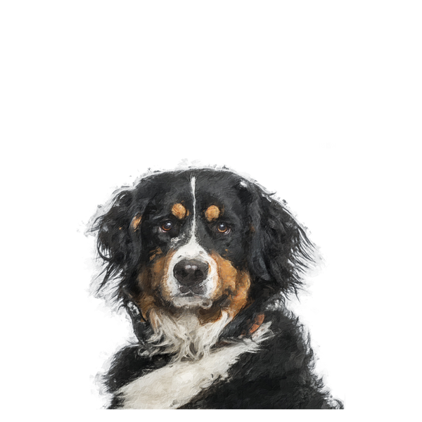 Your Pet Portrait - Customer's Product with price 68.00 ID slZNZ6I66mT8iTl-2OKKfONi