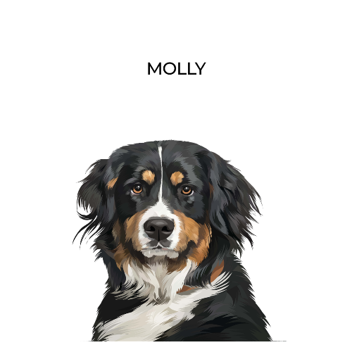 Your Pet Portrait - Customer's Product with price 68.00 ID 5gSn3DL9KMNIpMiMtTjStgq8