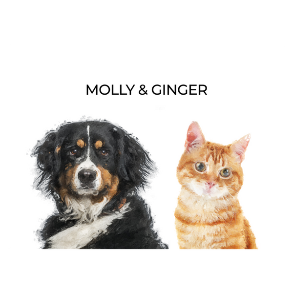Your Pet Portrait - Customer's Product with price 88.00 ID 833FhSCIlBdM00mbZ0gN7qPb