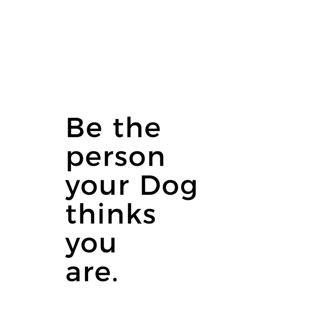 Be the person your Dog thinks you are. - Customer's Product with price 24.95 ID OCWcufwFM5kEAxuJuSuBAWei