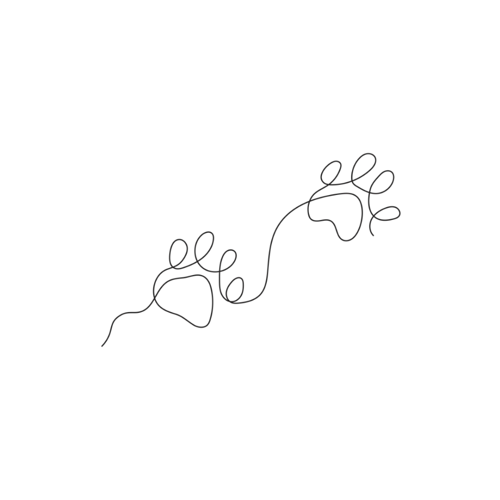 Paw Prints - Customer's Product with price 24.95 ID G9u57dC-fUGh14E6Kh54oLEn
